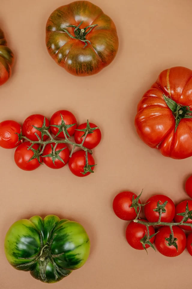 Variedades de tomate